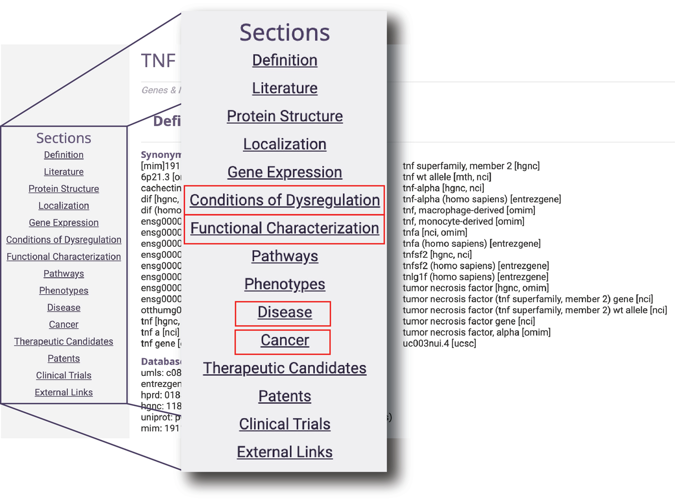 How to review the functional role of a gene in diseases?